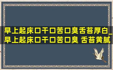 早上起床口干口苦口臭舌苔厚白_早上起床口干口苦口臭 舌苔黄腻